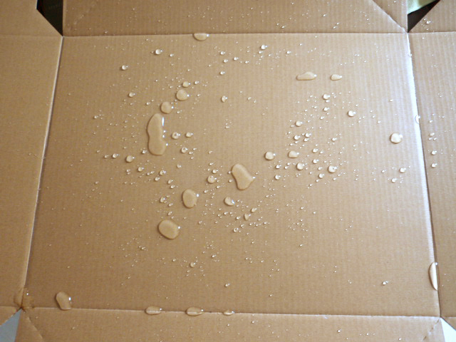 WAX Coated Corrugated Box, WAX Box, WAX Coated Corrugated Carton, WAX Coated Carton Box, carton box, packing box, paper box, paper packing box